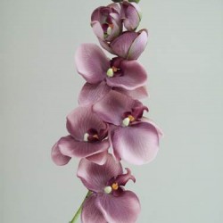 Vintage Phalaenopsis Orchid Purple 81cm - O045 K4