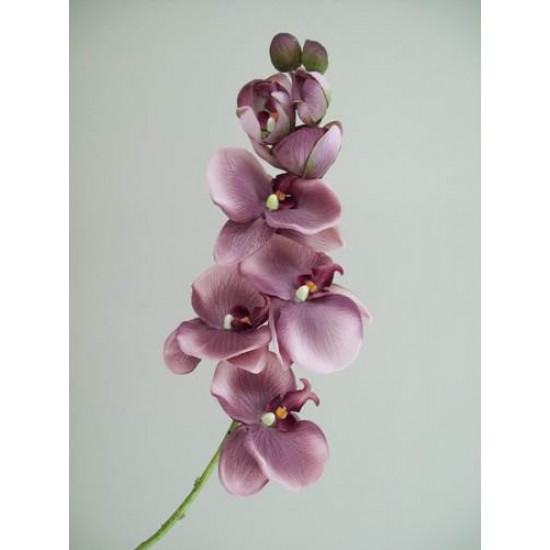 Vintage Phalaenopsis Orchid Purple 81cm - O045 K4