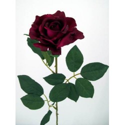 Premium Roses Burgundy 70cm - R014D 