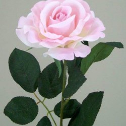 Premium Roses Pink 70cm - R014e L3