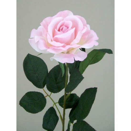 Premium Roses Pink 70cm - R014e L3