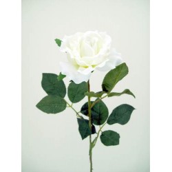 Premium Roses Ivory Cream 70cm - R014A L3