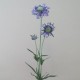 Silk Scabious Flowers Blue 64cm | Artificial Scabiosa - S058 