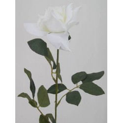 White Tea Rose 67cm - R034 DD4