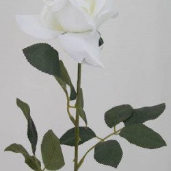 White Tea Rose 67cm - R034 DD4