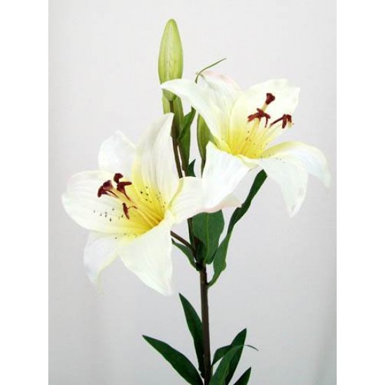 Silk Tiger Lilies Ivory 77cm - L009 I1