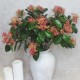 Artificial Skimmia Japonica Rubella 70cm - S054 KK2