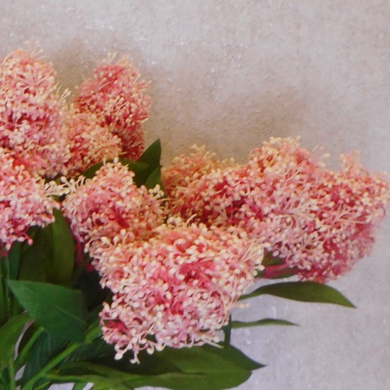 Artificial Skimmia Japonica Rubella Pink 60cm - S064 Q3