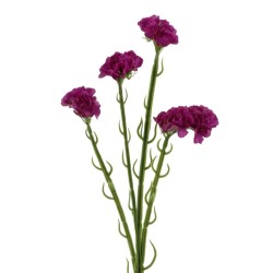 Artificial Statice Magenta Pink 62cm - S132 P3