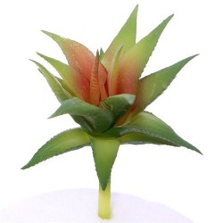Artificial Succulents Echeveria Green Red 8cm - SUC022 BX7