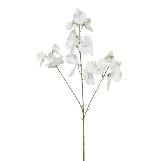 Sweet Peas Stem White 73cm - S048
