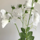 Long Artificial Sweet Peas Stem Ivory - S120 R1