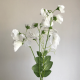 Long Artificial Sweet Peas Stem Ivory - S120 R3