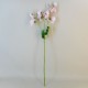 Long Artificial Sweet Peas Stem Pink 68cm - S030 R3