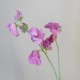 Artificial Sweet Peas Mauve Pink 43cm - S092 JJ3