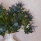 Wild Sea Holly Thistles Aqua Blue 67cm - E020 H2