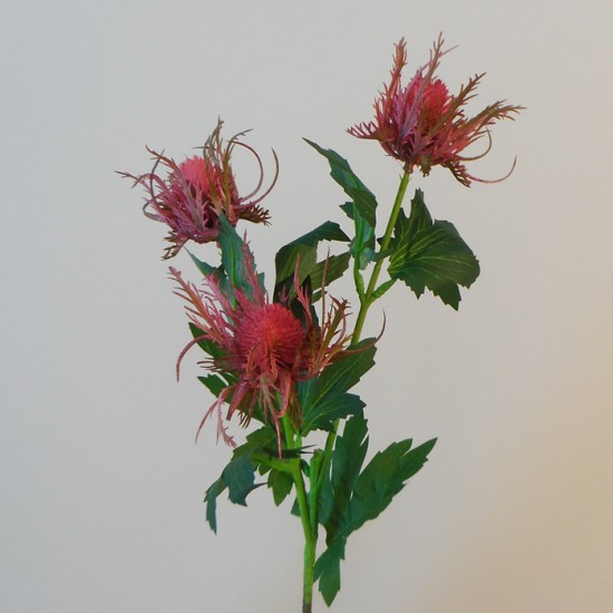 Wild Sea Holly Thistles Dark Pink 67cm - E022 FF1