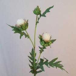 Artificial Thistle and Leaves Spray Cream 69cm - T075 BOX 11