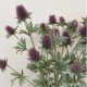 Artificial Thistles Purple 77cm - T049 Q4