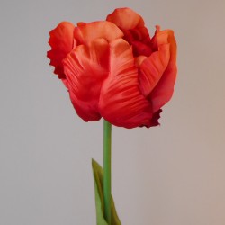 Silk Parrot Tulip Orange 80cm  - T036 DD4
