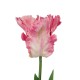 Artificial Parrot Tulips Pink 64cm  - T023 T3