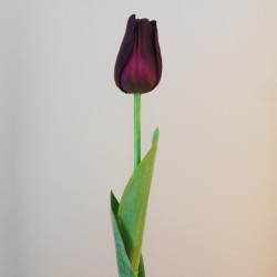 Artificial Tulips Blackcurrant 68cm - T061 T3