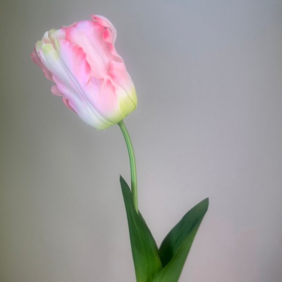 Artificial Parrot Tulips Pale Pink 69cm  - T074 R1
