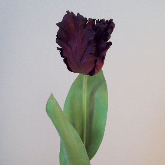 Real Touch Artificial Parrot Tulips Aubergine 63cm - T071 R2