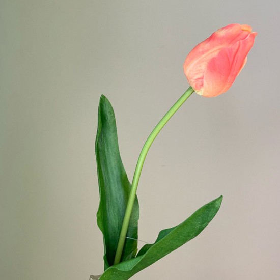 Real Touch Artificial Tulips Peach 50cm - T023