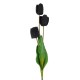 Tall Black Triple Tulip Stem 108cm - T005 CC1