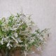 Artificial Veronica Flowers White 70cm - V019 AA4