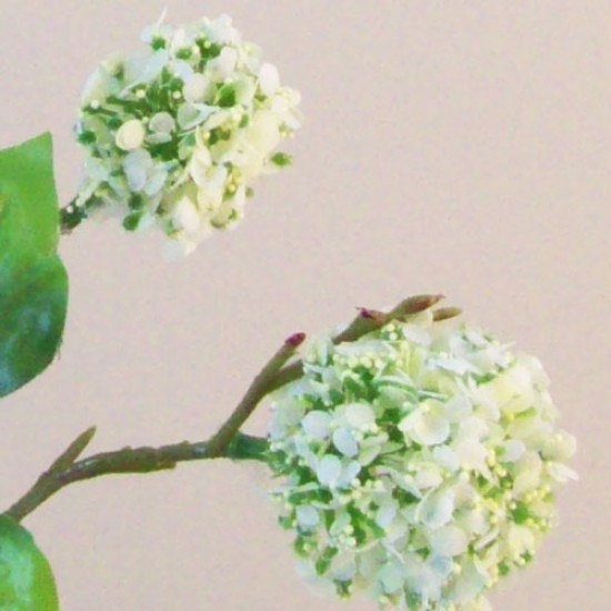 Artificial Viburnum | Geulder Rose Cottage Garden Cream 75cm - V026 R3