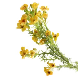 Artificial Wax Flowers Yellow 66cm - W035 T2