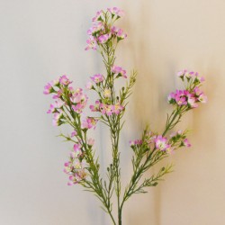 Artificial Wax Flowers Pink 67cm - W064 S2