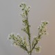 Artificial Wax Flowers White 67cm - W065 