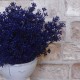 Short Stem Artificial Wax Flower Buds Navy Blue 36cm - WAX010 KK2
