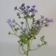 Short Stem Artificial Wax Flower Buds Purple 36cm - W068 EE1