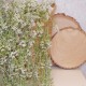 Artificial Trailing Plants White Wax Flower Buds 94cm - W070 BB4