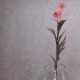 Artificial Campion Flowers Pink 59cm - C060 I3