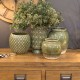 Seville Squat Vase Olive Green 17cm - LUX052 9E