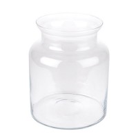 Clear Glass Vases