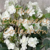 THE ELOPEMENT COLLECTION