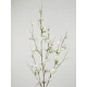 Artificial Apple Blossom XL Ivory 120cm - C119 D2