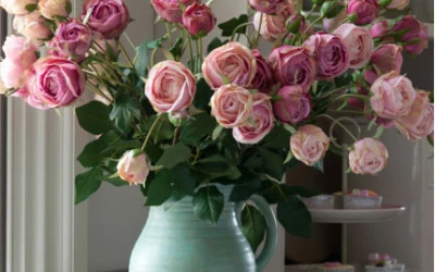 Watch this space. Something very special is coming soon