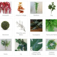 Leaves and Foliage by Type