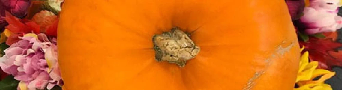 The Colours of Autumn | Autumn Artificial Flowers and Crafts