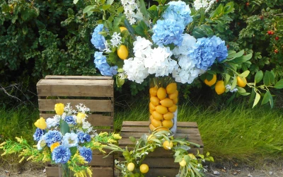 Fruity Fridays at Decoflora