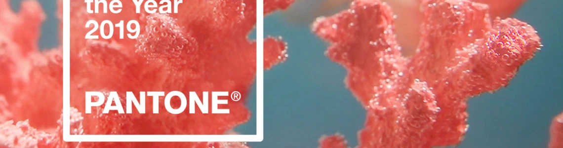 Wedding Online | Moodboards | Pantone Colour of the Year 2019 ~ Living Coral