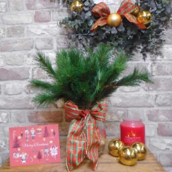 Artificial Mountain Spruce Branch 37.5cm 7 tips -  X22037 