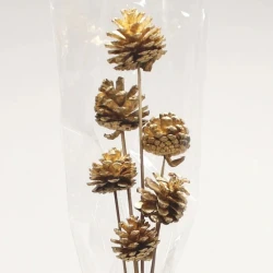 Gold Pine Cones on Sticks Pack of 6 - X25040 BAY3A